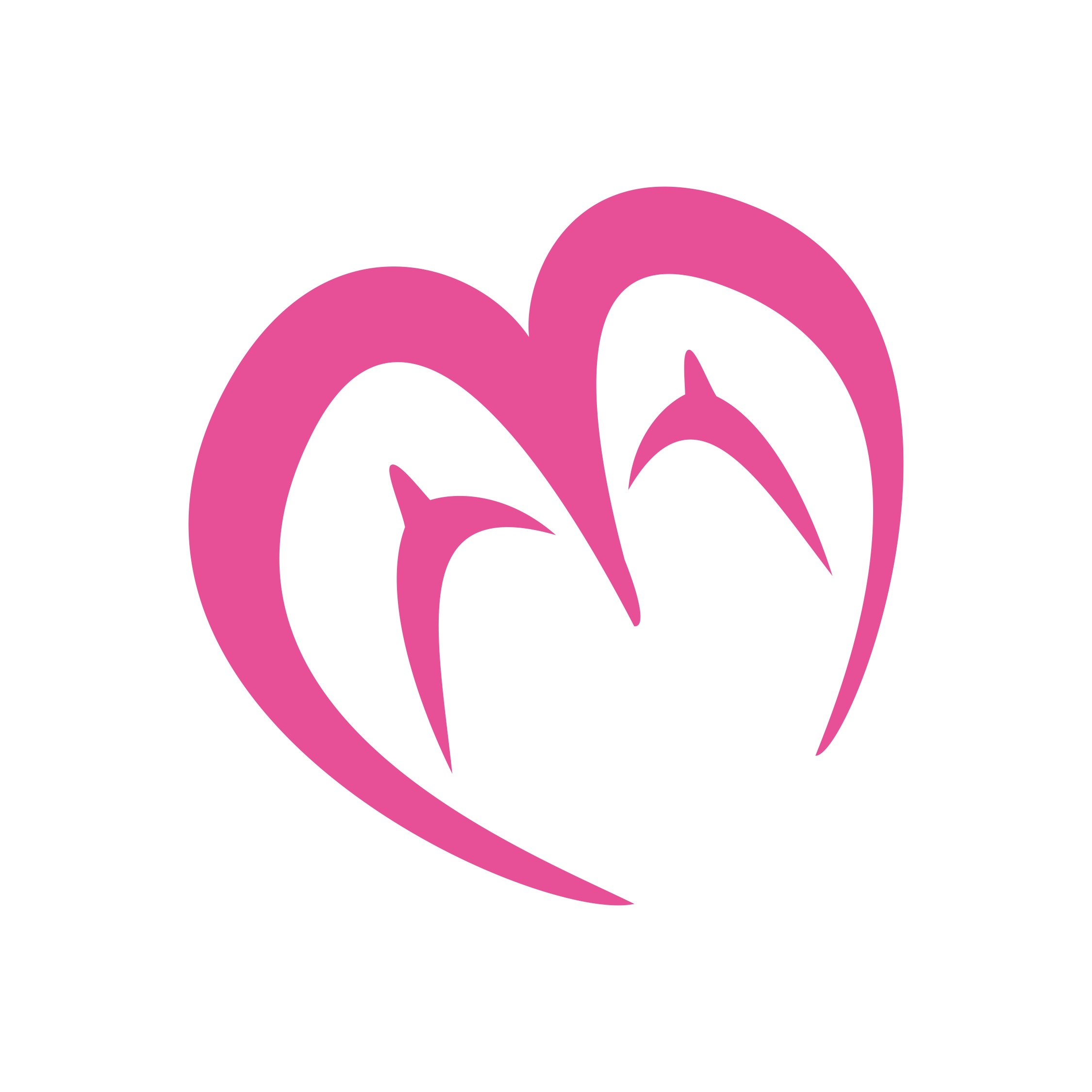Decor Pink